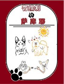 犬类萨摩耶