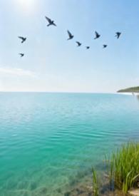 归去来兮辞原文