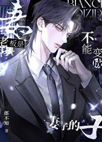 老板是不能变成妻子的晋江