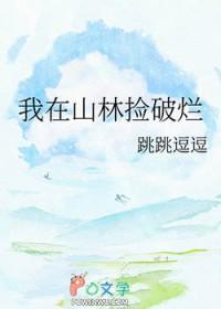 我在捡碎片全文阅读