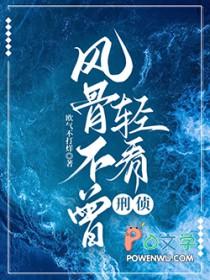 风骨不曾轻看·刑侦讲了什么