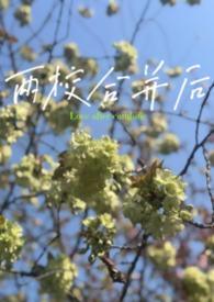 两个学校合并