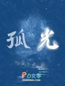孤光自照什么意思