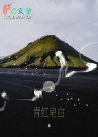 青红皂白什么意思