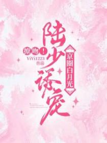 陆少有个白月光免费阅读