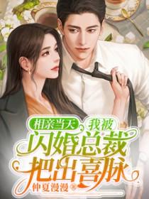 第一章相亲闪婚