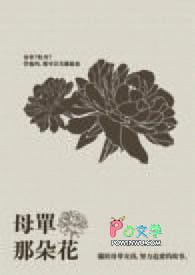 单朵花图片