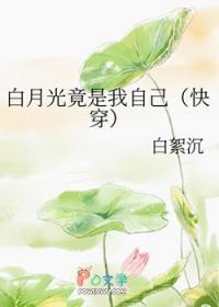 白月光竟是我自己 白絮沉