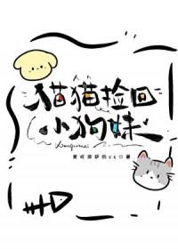 狗捡猫回家
