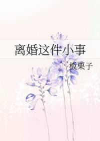 离婚这件小事by颂红川全文免费阅读最