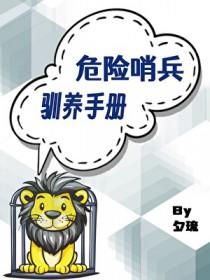 危险哨兵驯养手册 夕琉