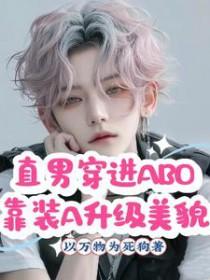 直男穿进abo世界