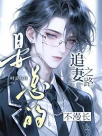 晏总追妻娶一