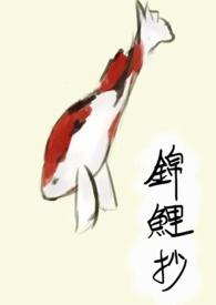 锦鲤抄鞠婧祎歌词