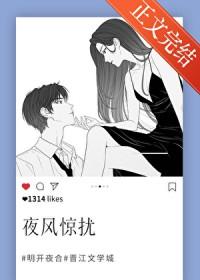 夜风惊扰讲了什么
