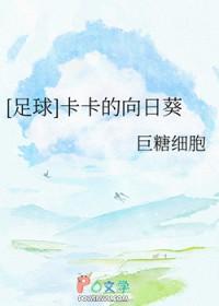 卡卡足球比赛视频