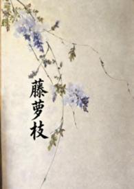 藤萝枝子