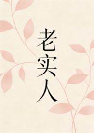 老实人12的作品