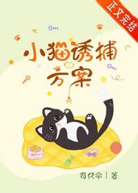 捕猫诱饵什么最好