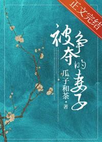 被争夺的妻子南玫结局