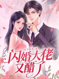 闪婚大佬甜蜜宠 txt