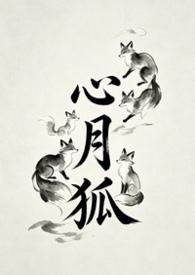 心月狐套装中的心月狐一共有几根尾巴