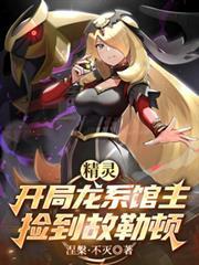 开局龙系精灵的