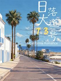 日落大道实体