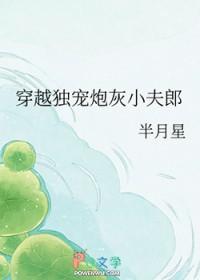 穿越之独宠夫郞