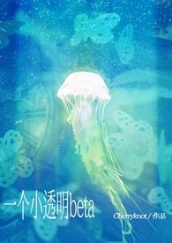 小透明beta被痴汉包围(nph)cherryknot
