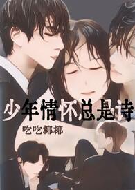 少年情怀总是诗的作品合集