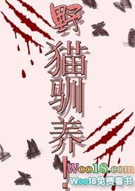 野猫驯养!魏承泽全文免费阅读