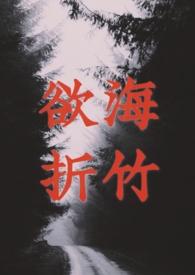 欲海折竹笔趣阁