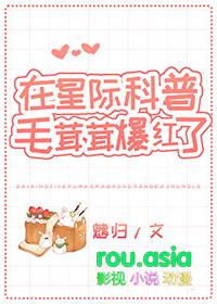 全星际的毛茸茸都爱我