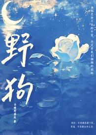 野狗(姐弟骨科H) 作者冬晴野荔枝