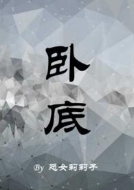 卧底原著