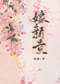 嫁新贵